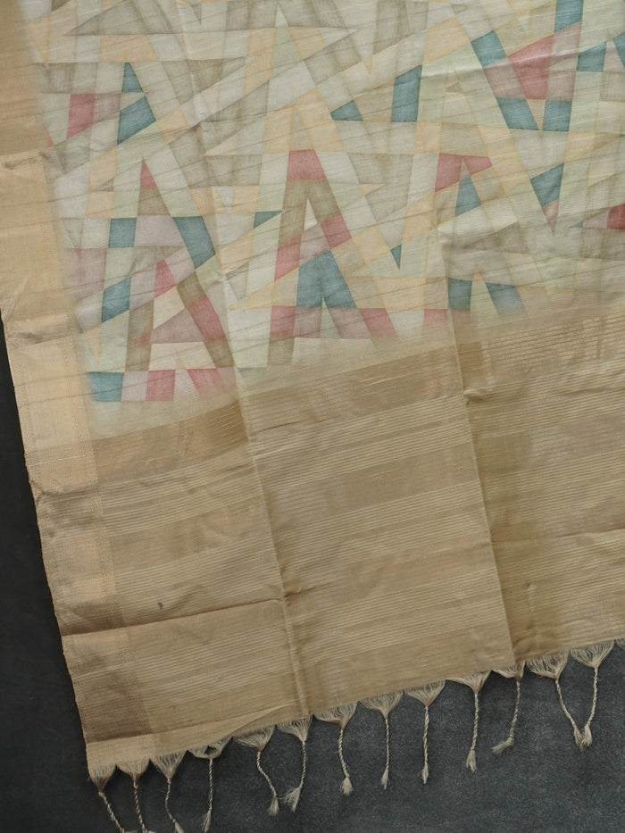 Raw Silk Saree | TTDS3213