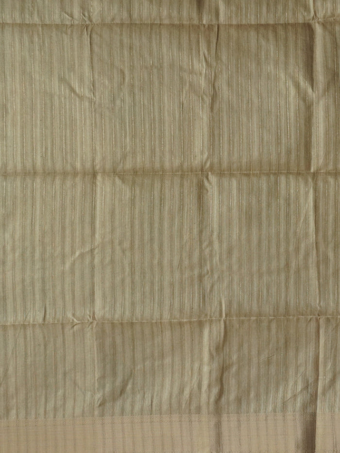 Raw Silk Saree | TTDS3213