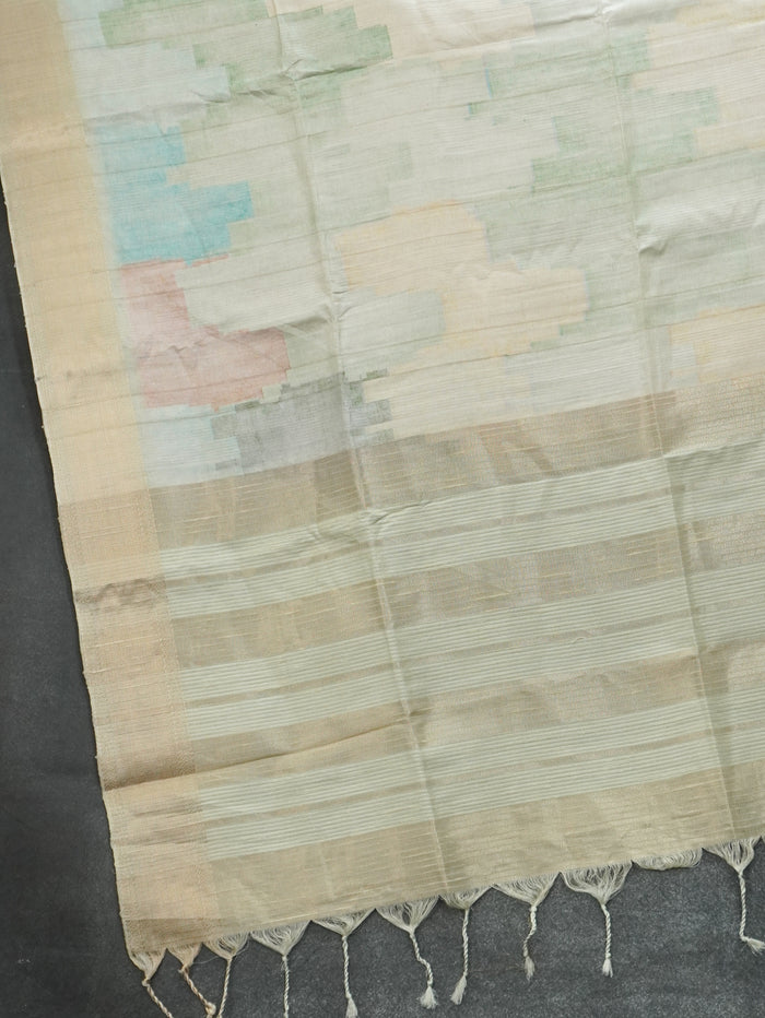Raw Silk Saree | TTDS3214
