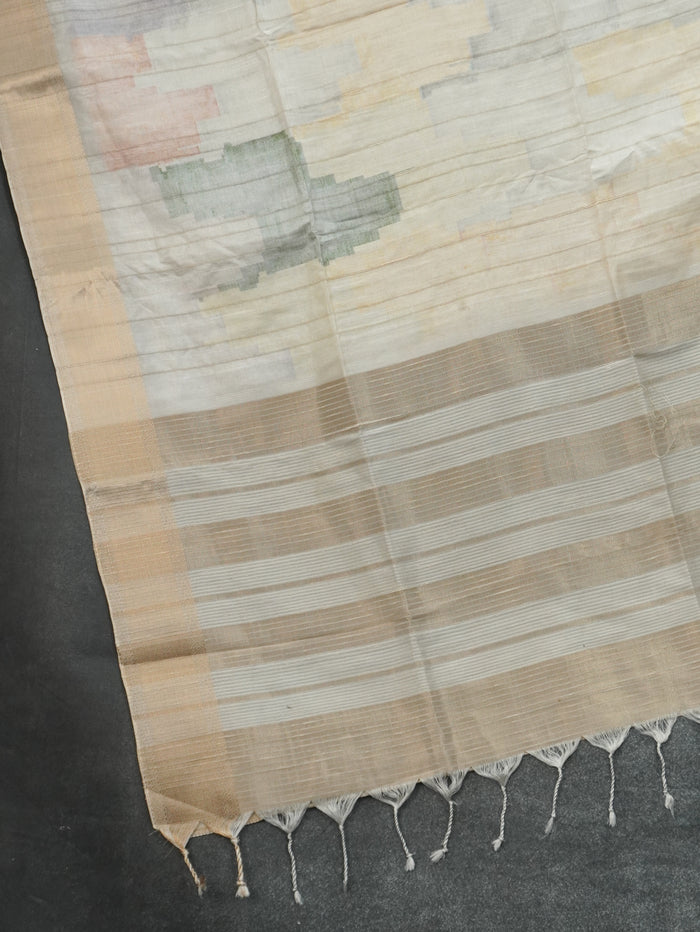 Raw Silk Saree | TTDS3214