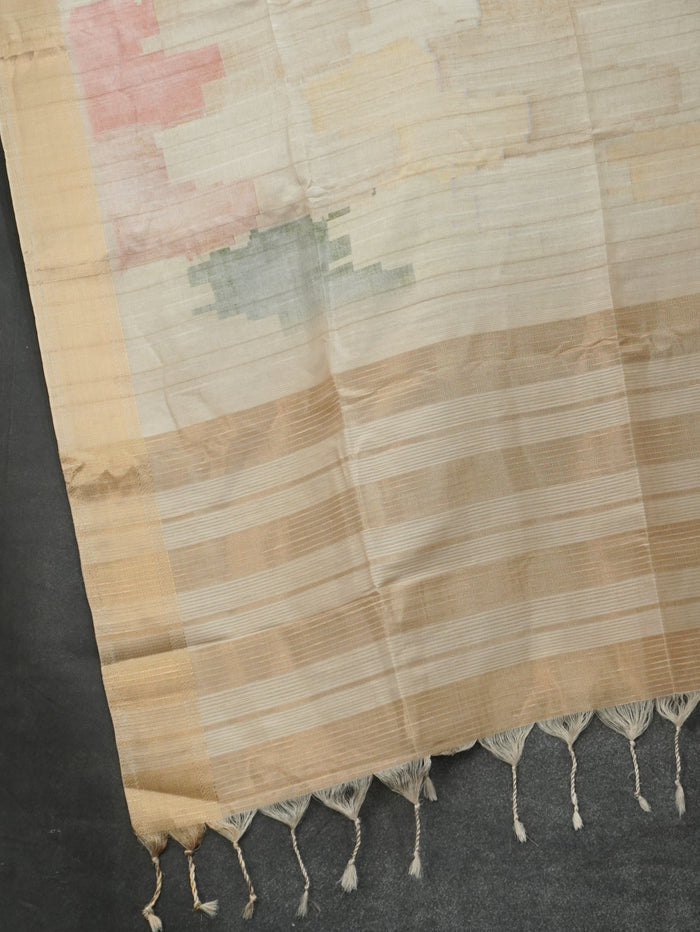 Raw Silk Saree | TTDS3214