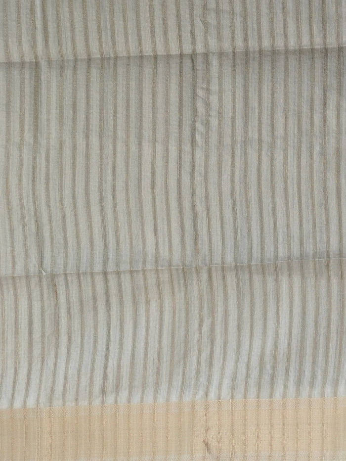 Raw Silk Saree | TTDS3214