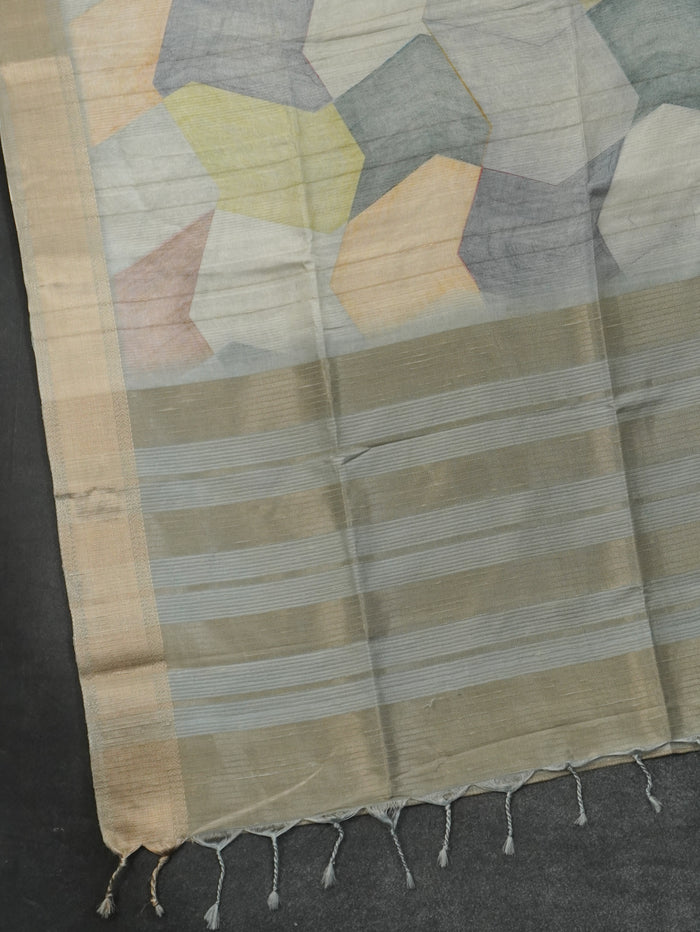 Raw Silk Saree | TTDS3215