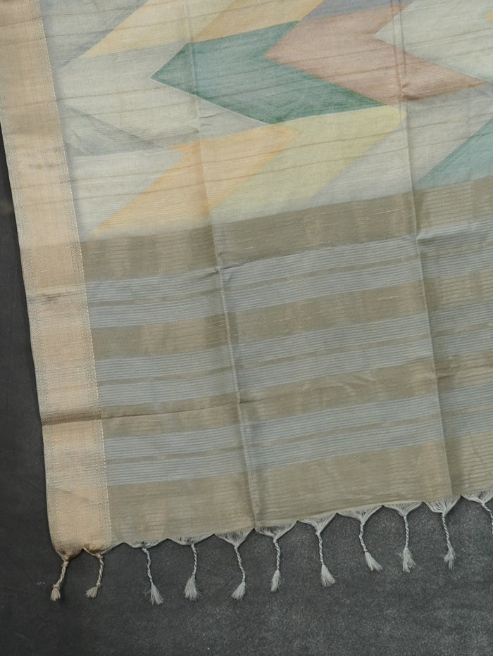 Raw Silk Saree | TTDS3216