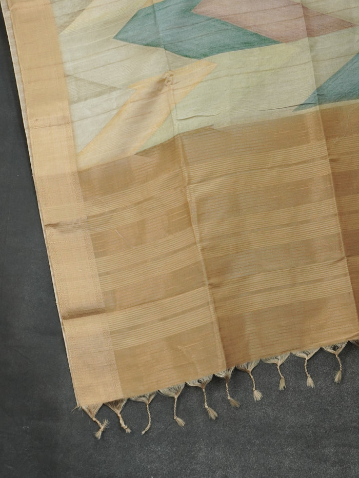 Raw Silk Saree | TTDS3216