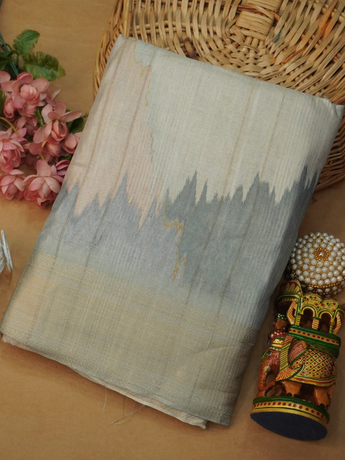 Raw Silk Saree | TTDS3218