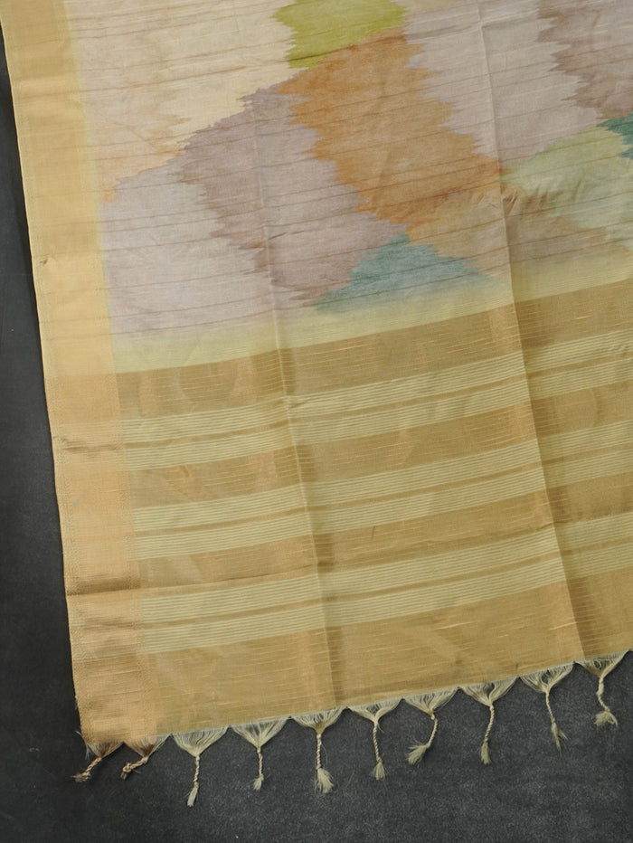Raw Silk Saree | TTDS3218