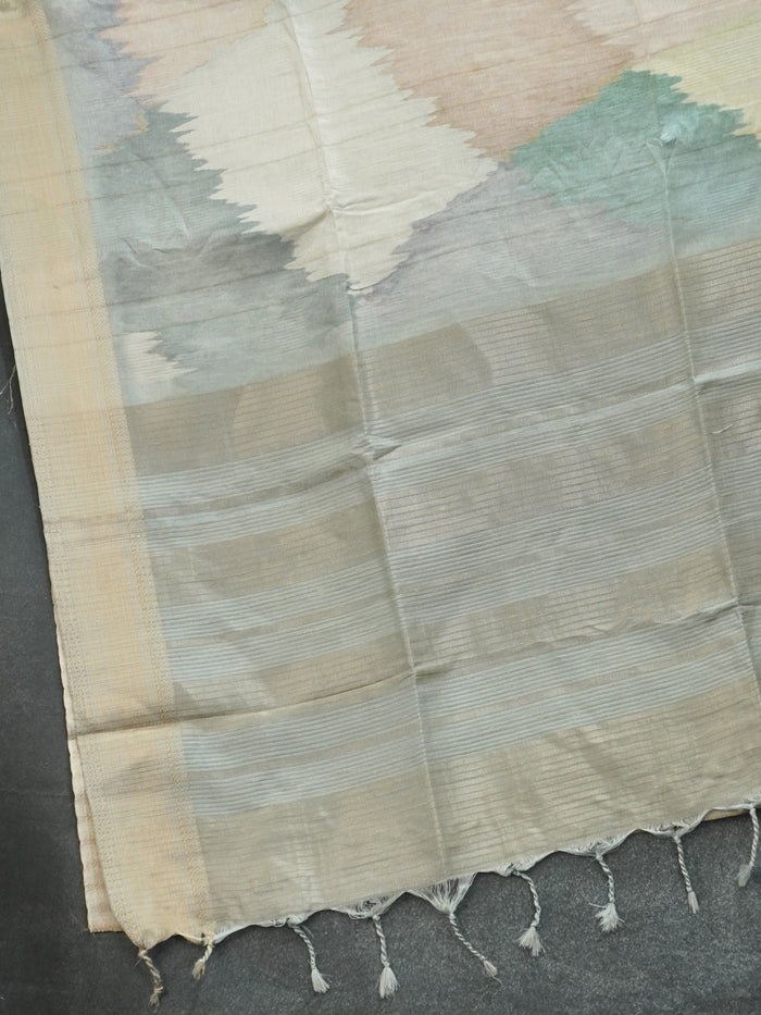 Raw Silk Saree | TTDS3218