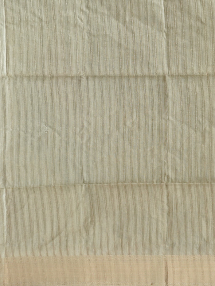 Raw Silk Saree | TTDS3218