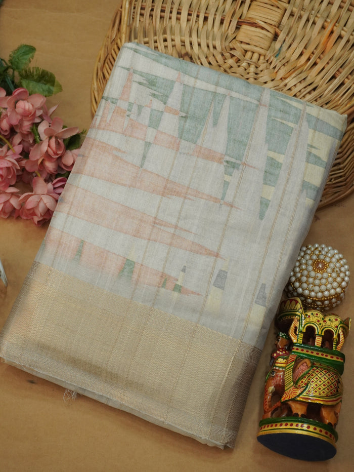 Raw Silk Saree | TTDS3219