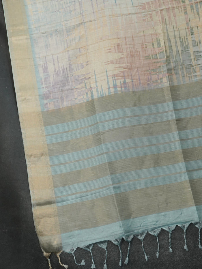 Raw Silk Saree | TTDS3219