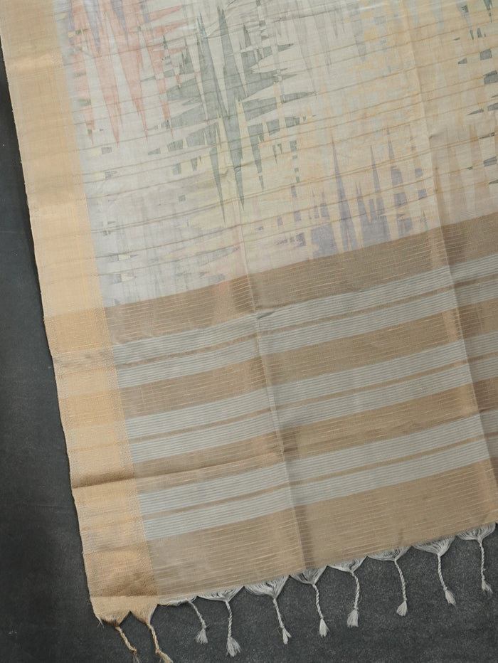 Raw Silk Saree | TTDS3219