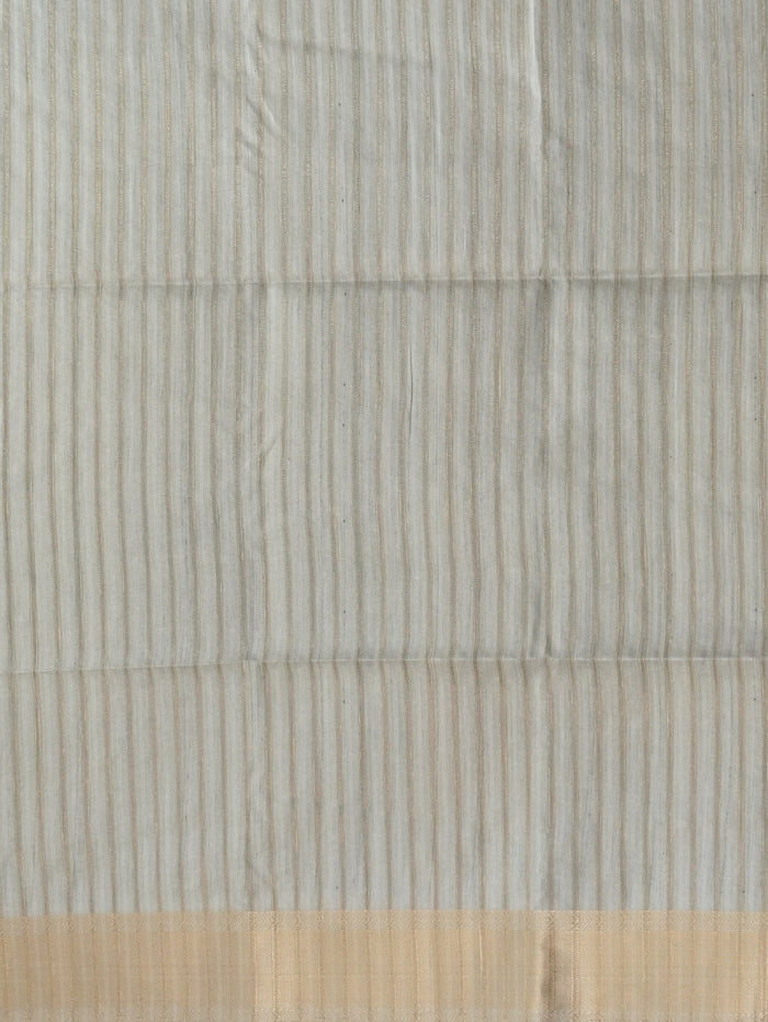 Raw Silk Saree | TTDS3219
