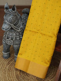 Raw Silk Saree | TTDS3572