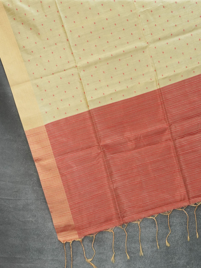 Raw Silk Saree | TTDS3572