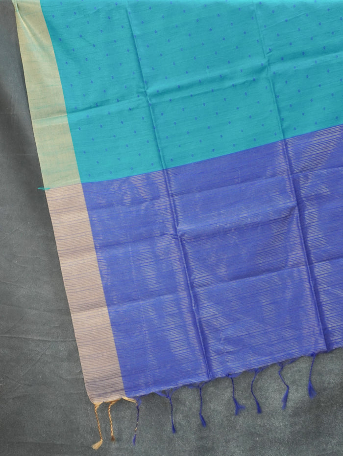 Raw Silk Saree | TTDS3572