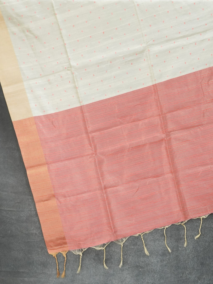 Raw Silk Saree | TTDS3572