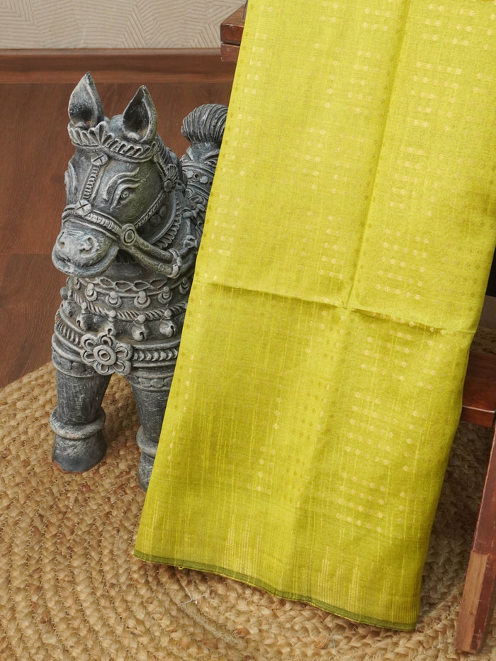 Raw Silk Saree | TTDS3582