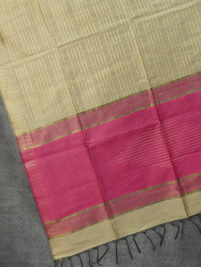 Raw Silk Saree | TTDS3582