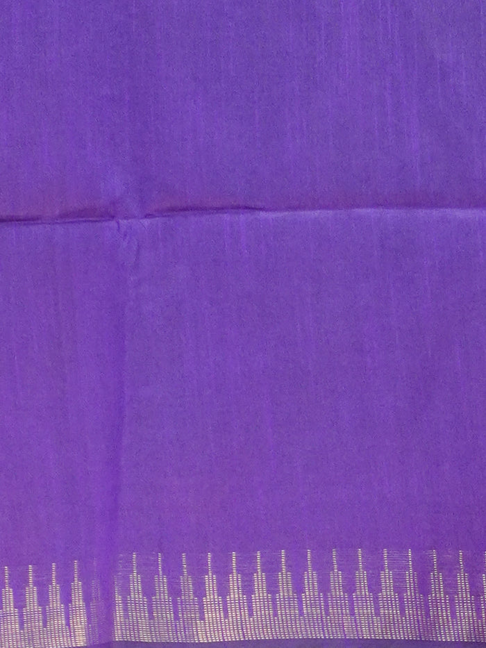 Raw Silk Saree | TTDS3582