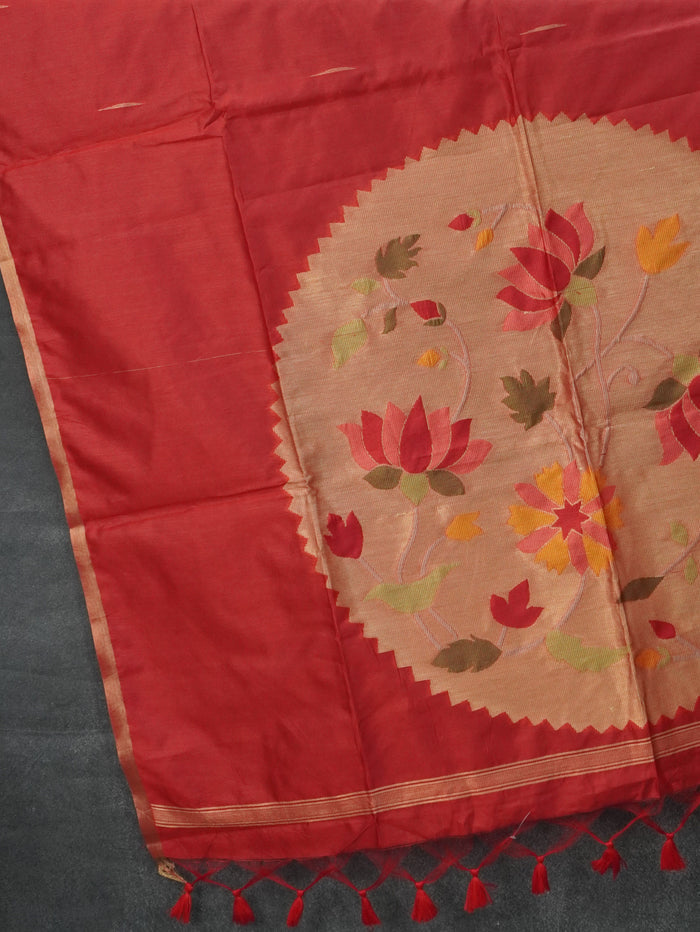 Raw Silk Saree | TTDS3594