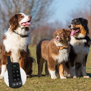 waterproof remote dog training collar long range