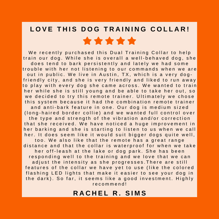 waterproof remote dog training collar long range