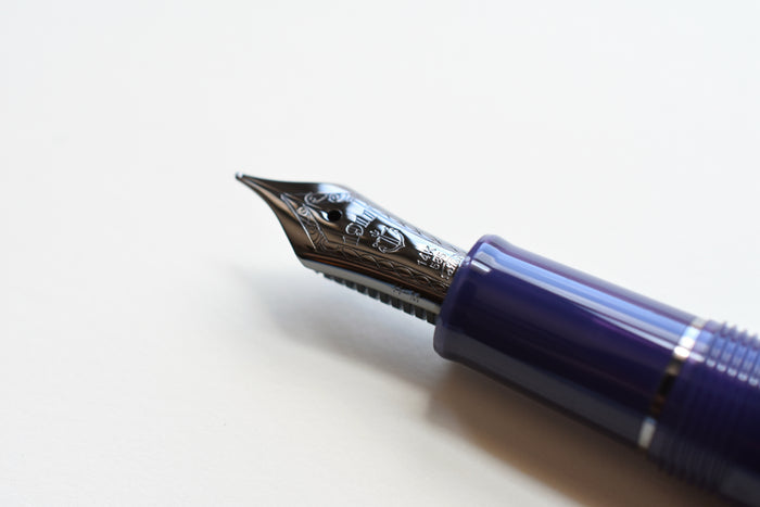 Sailor 1911 Standard - Wicked Witch of the West