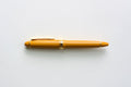 Sailor 1911 Standard Fountain Pen – Pirate's Life