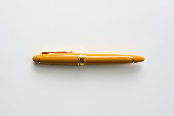 Sailor 1911 Standard Fountain Pen – Pirate's Life