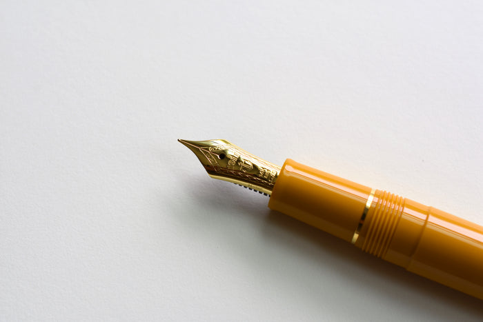 Sailor 1911 Standard Fountain Pen – Pirate's Life