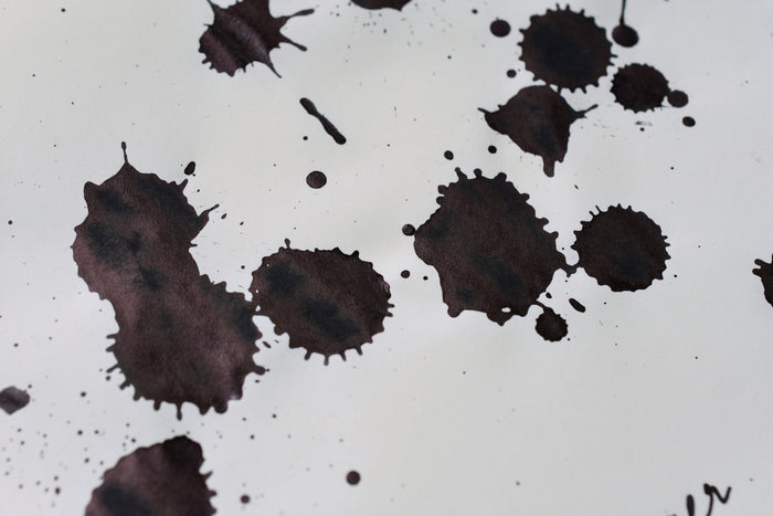 Sailor Ink Studio No. 024