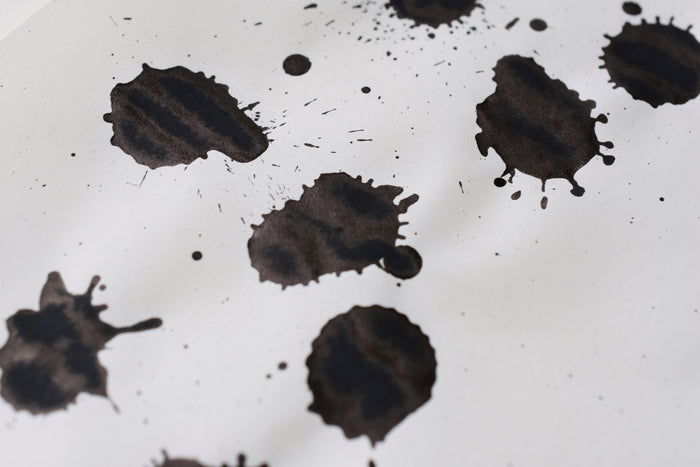 Sailor Ink Studio No. 027