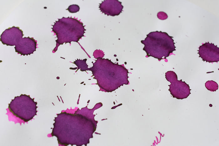 Sailor Ink Studio No. 531