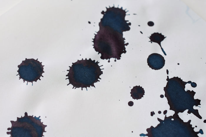 Sailor Ink Studio No. 641