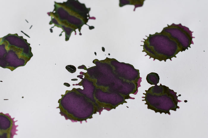 Sailor Ink Studio No. 737
