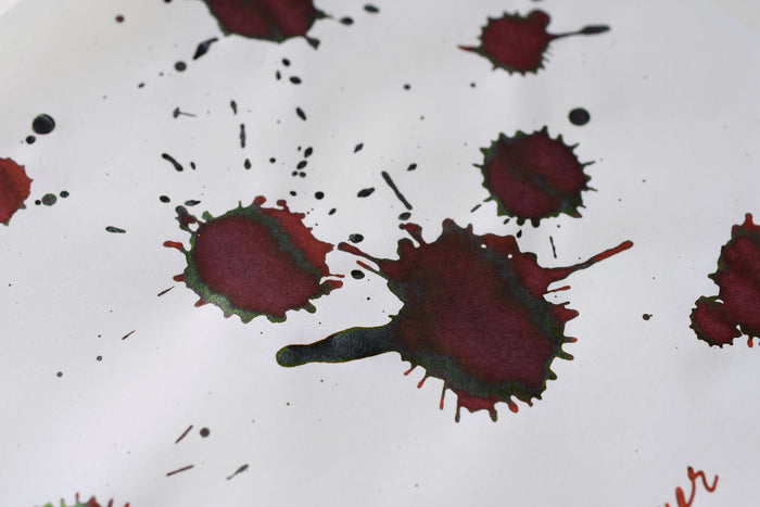 Sailor Ink Studio No. 973
