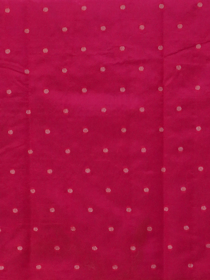 Semi Tussar Silk Saree | TTDS3563