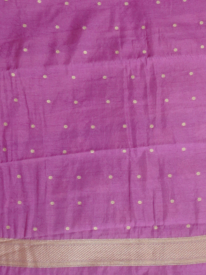 Tissue Tussar Silk Saree | TTDS3510