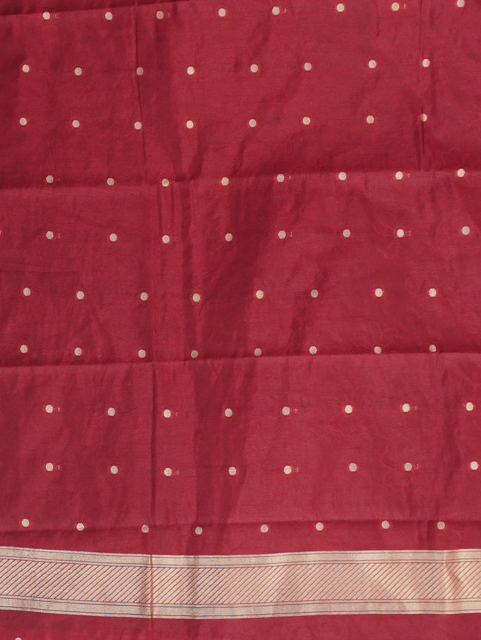 Tissue Tussar Silk Saree | TTDS3510