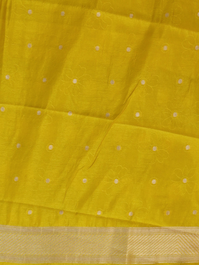 Tissue Tussar Silk Saree | TTDS3556