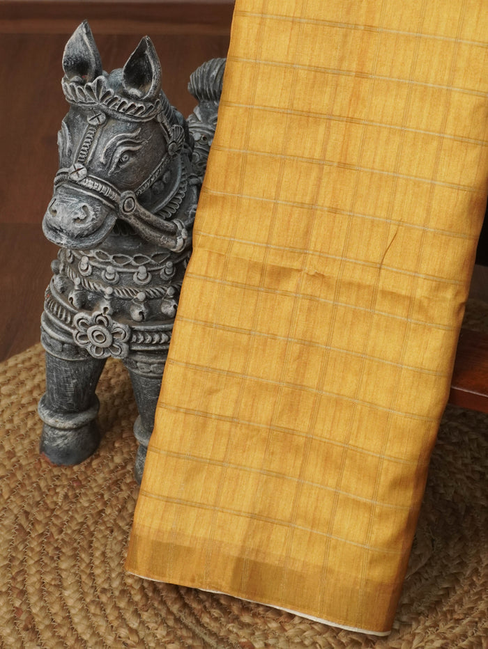 Tussar Saree | TTDS3584