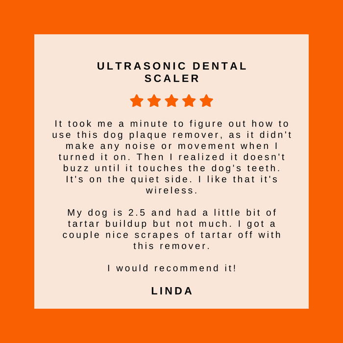 Ultrasonic Dog Dental Scaler - Teeth Cleaning & Plaque Remover